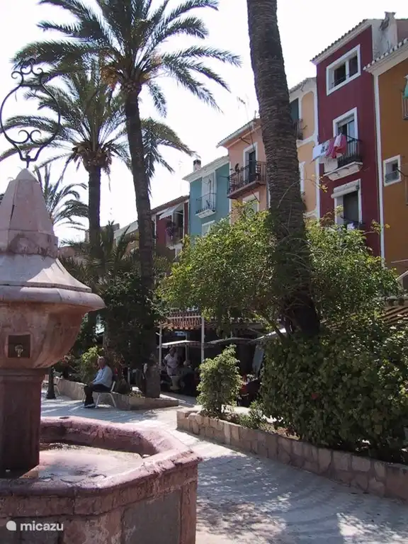 Également trouvé sur la promenade de Villajoyosa