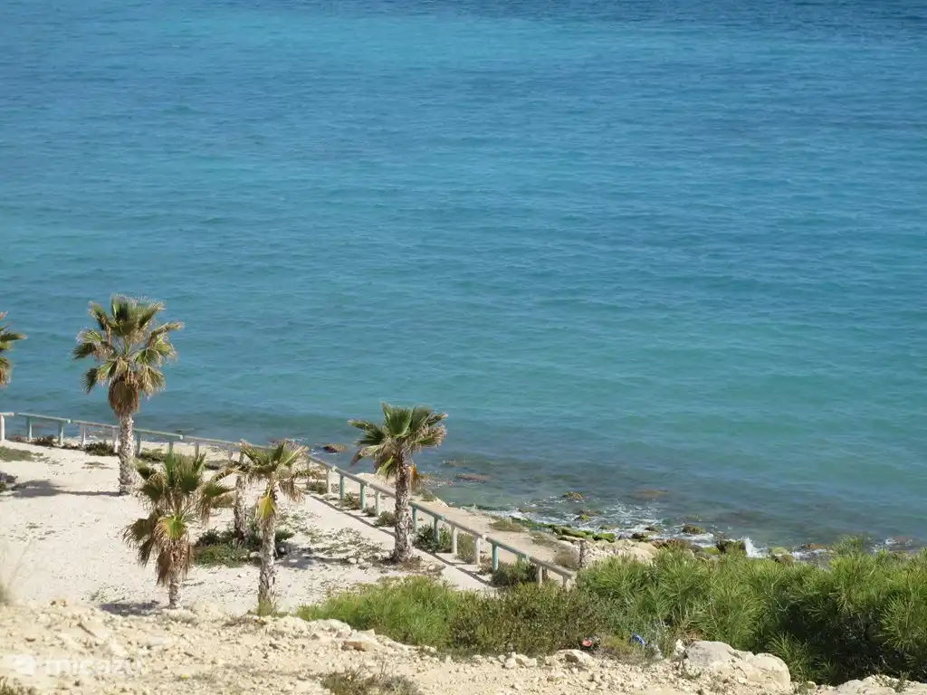 La zone verte devant l'appartement.