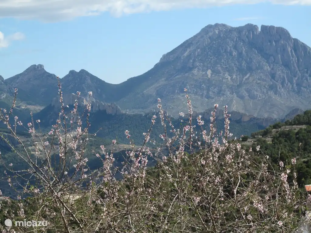 Puig de Campana. Ce sommet de montagne peut également être vu de Villajoyosa.