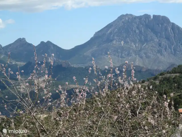 App 'La Vila' - dans un endroit merveilleux | Espagne, Costa Blanca, Villajoyosa - appartement Puig de Campana. Ce sommet de montagne peut également être vu de Villajoyosa.
