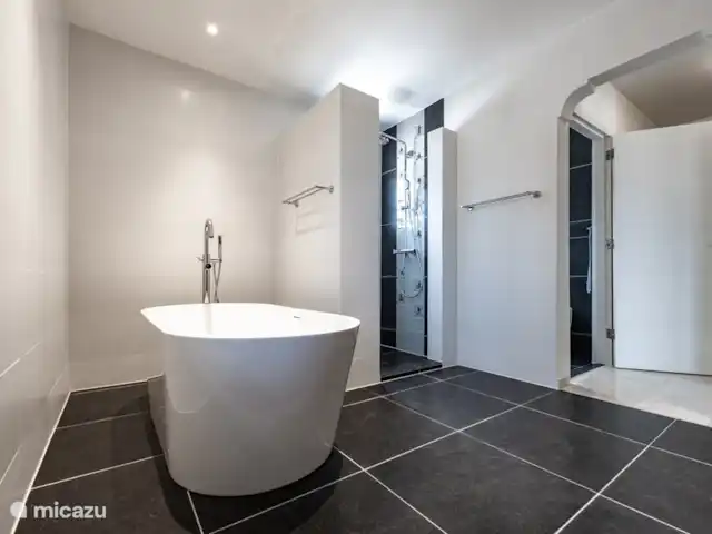 Villa Trupial huren in Curaçao, Banda Abou (west), Coral Estate, Rif St.Marie - villa Master badkamer met dubbele wasbak ,staand bad , douche en een aparte ruimte met toilet en bidet