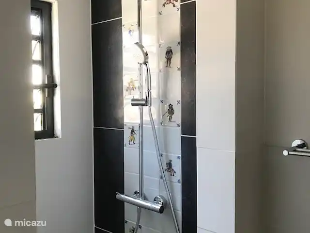 Villa Trupial huren in Curaçao, Banda Abou (west), Coral Estate, Rif St.Marie - villa Douche master bathroom met antieke, handgeschilderde Makkumer Tegels, 19e eeuw, thema: soldaten te paard en te voet