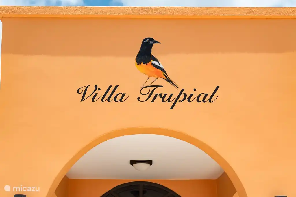 Der Nationalvogel von Curacao, das Dupial, der Namensgeber der Villa