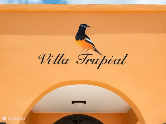 Villa Trupial huren in Curaçao, Banda Abou (west), Coral Estate, Rif St.Marie - villa De nationale vogel van Curacao, de trupiaal, de naamgever van de villa