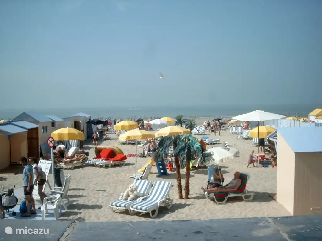 En la playa puedes comer algo y beber algo
