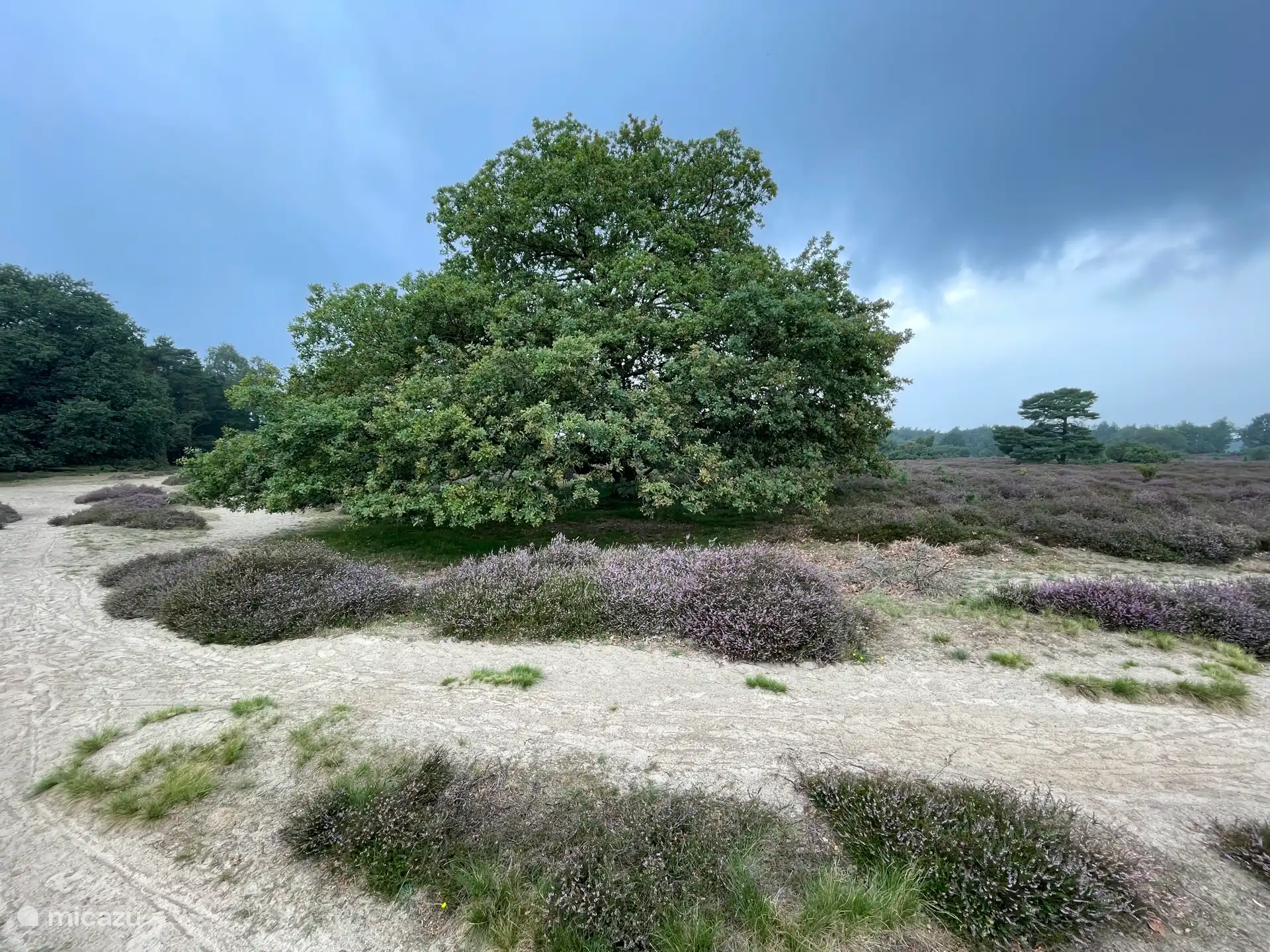 Drouwernerzand