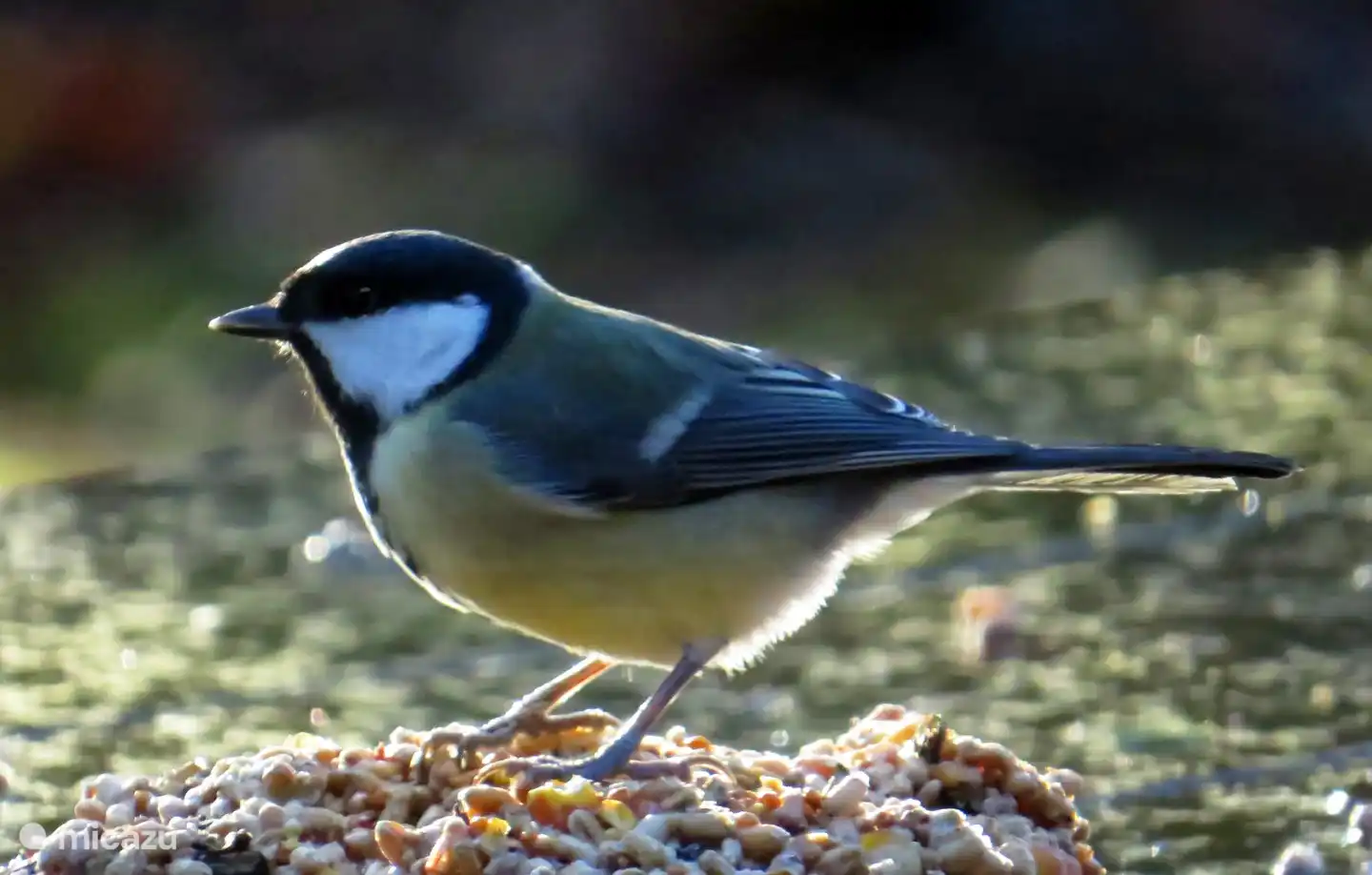 The Hunzebergen Estate is also home to many bird species.