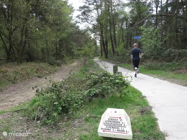 Maison Middendorp | Pays-Bas, Gueldre, Ellecom - maison de vacances jogging dans les bois