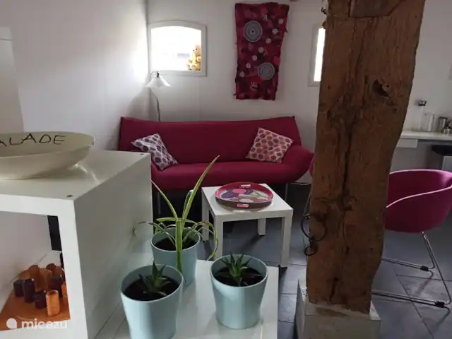 Maison Middendorp | Pays-Bas, Gueldre, Ellecom - maison de vacances siège de télévision