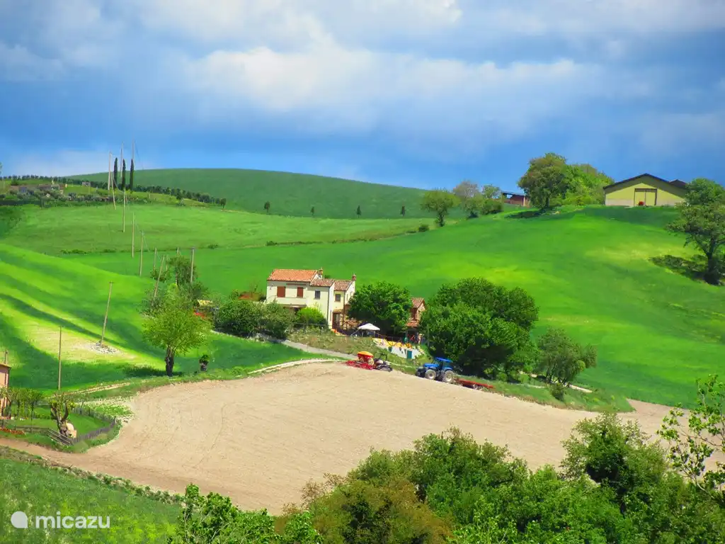 immergé dans le paysage Marchegian
