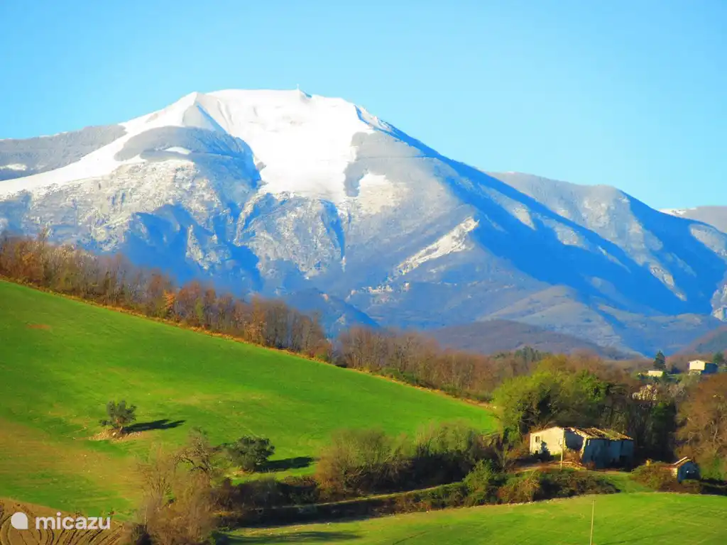 Vue sur le Monte Catria depuis la casa