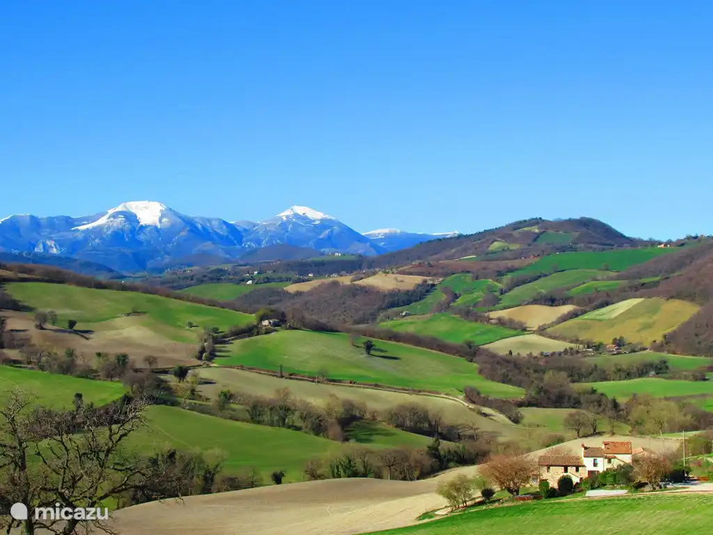 situation dans une campagne préservée - Mars 2019