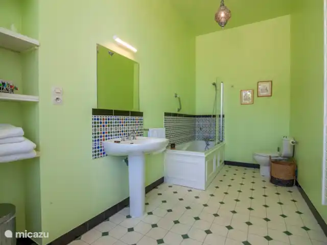 Chateau Gites Escudes en Francia, Tarn-et-Garonne, Vigueron - casa de campo / castillo Baño en la suite de flores.