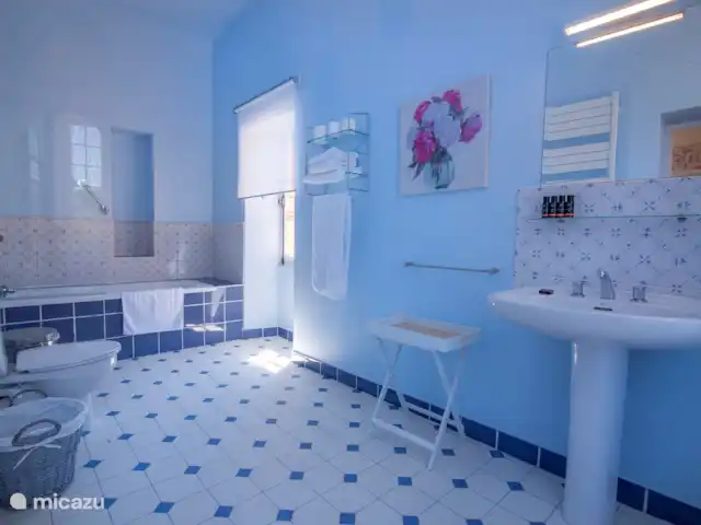 Chateau Gites Escudes en Francia, Tarn-et-Garonne, Vigueron - casa de campo / castillo Baño Suite Pájaro