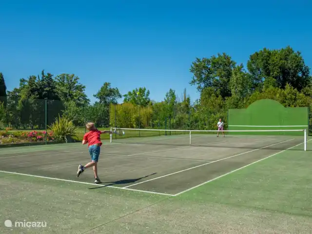 Chateau Gites Escudes en Francia, Tarn-et-Garonne, Vigueron - casa de campo / castillo la cancha de tenis