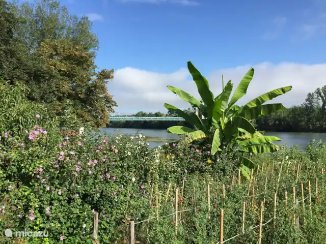 Chateau Gites Escudes en Francia, Tarn-et-Garonne, Vigueron - casa de campo / castillo Río Garona