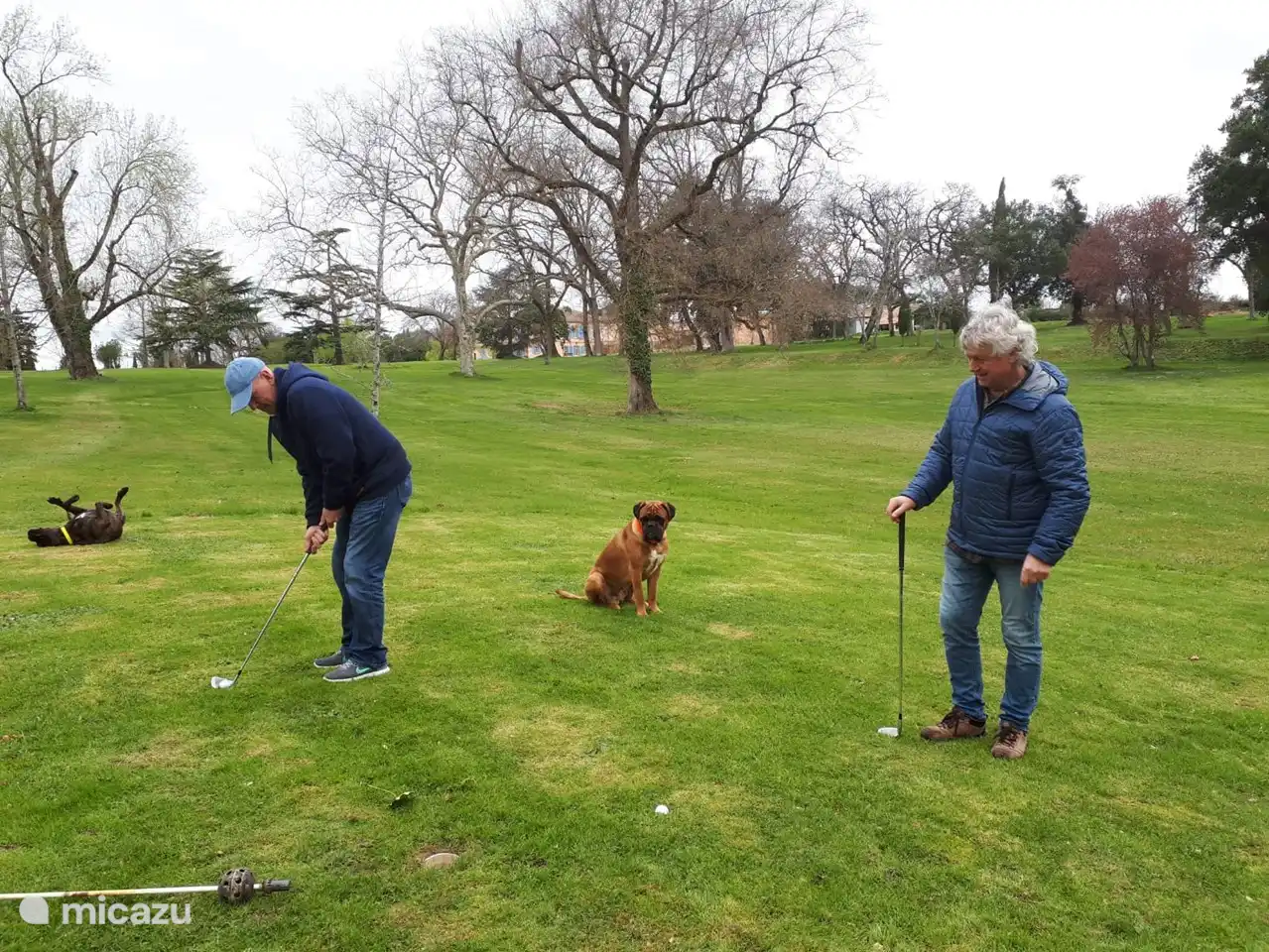 Golf oufenen in het park van e
Escudes.