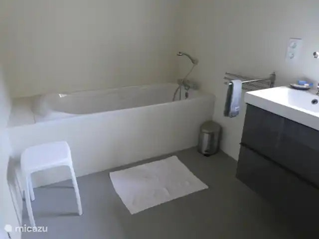 Conciergerie | France, Gers, Mauroux - gîte / cottage la baignoire dans la salle de bain spacieuse