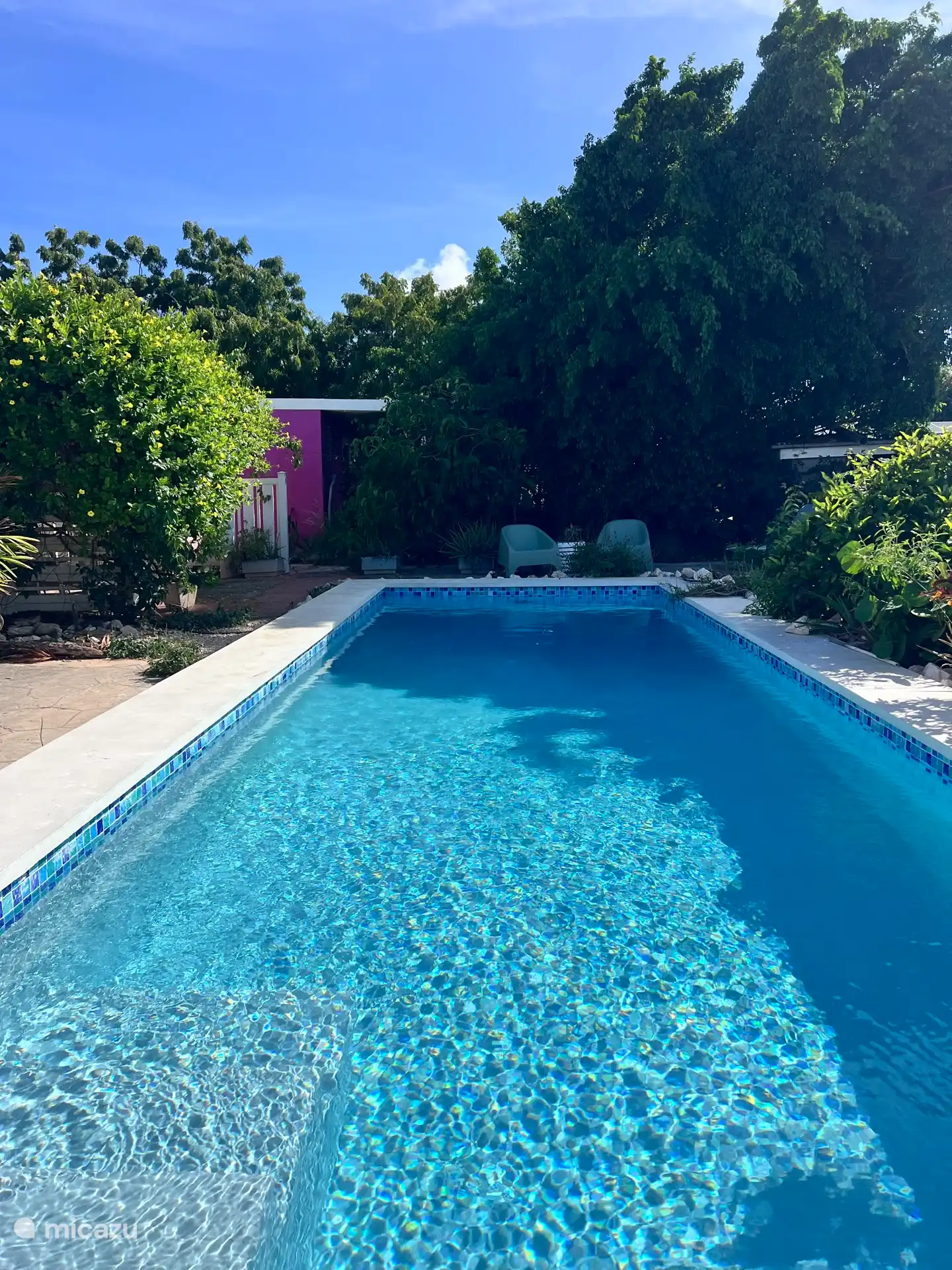 Piscina con jardín tropical. 