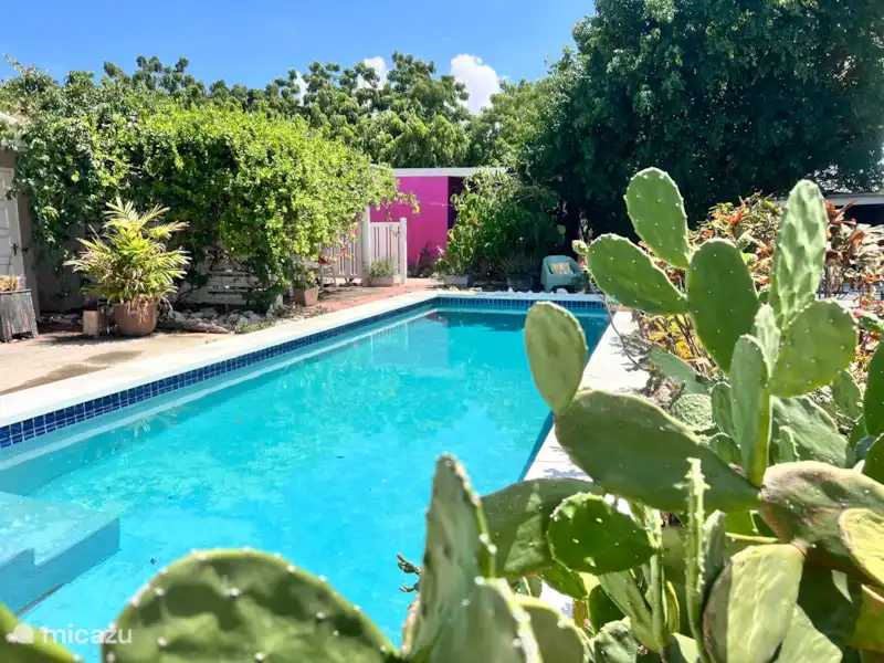 Brise Tropicale 'Dushi Bida' | Curaçao, Banda Ariba (est), Santa Catharina - Appartement Brise Tropicale 'Dushi Bida' | Curaçao, Banda Ariba (est), Santa Catharina - Appartement