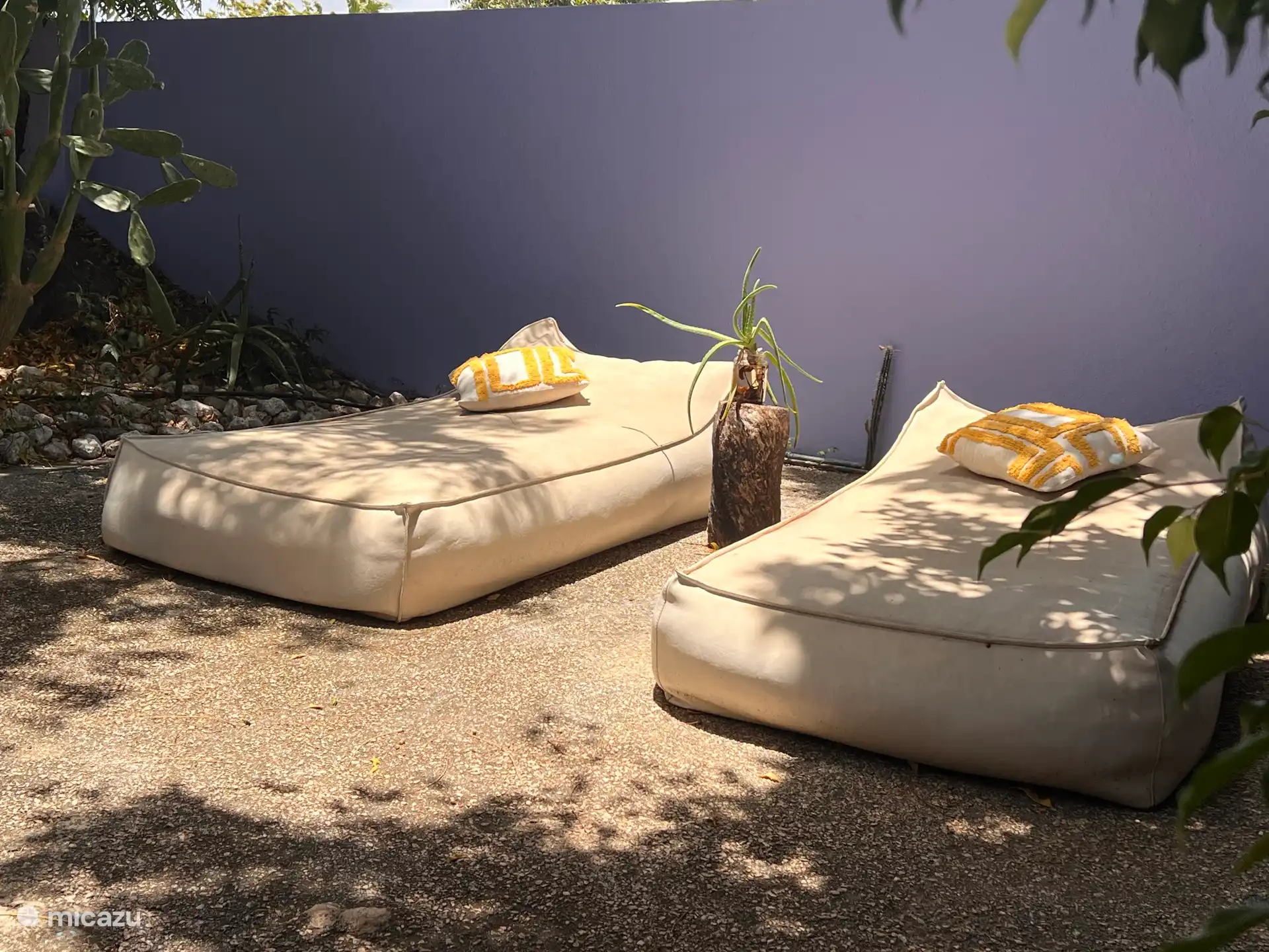 Relájate en estas hermosas camas de playa. Y a 2 metros de la piscina para refrescarse de vez en cuando