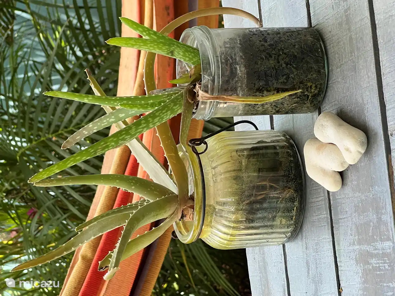 Los detalles lúdicos le dan a la estadía aún más vibraciones tropicales.