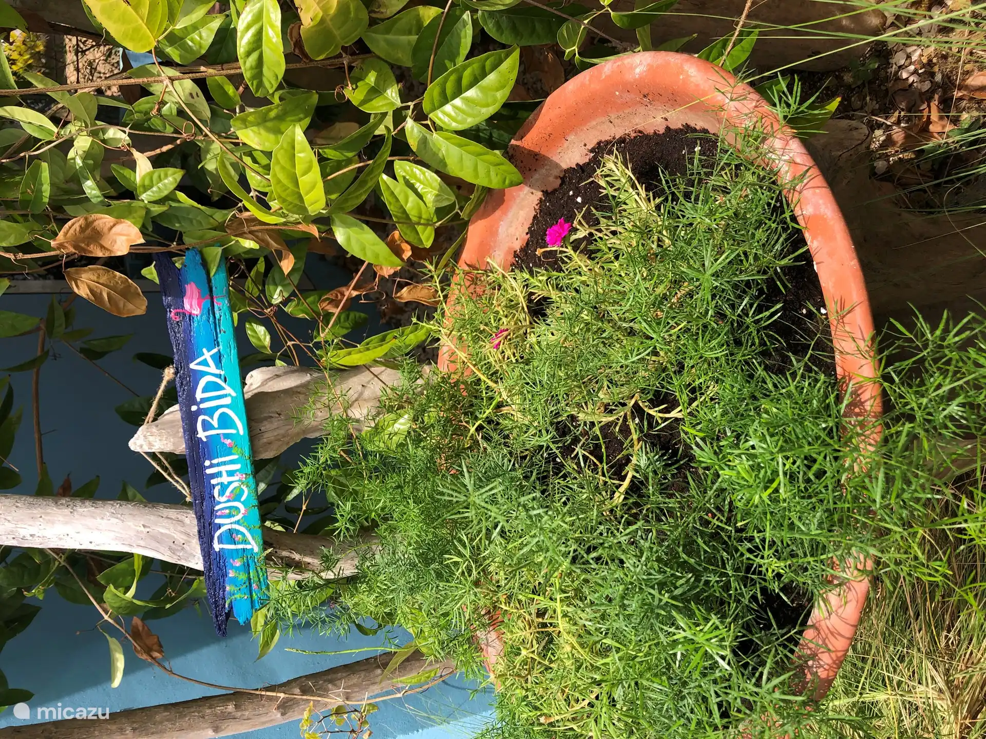 Siempre trabajamos duro para mantener el jardín hermoso y cuidar la privacidad de los demás