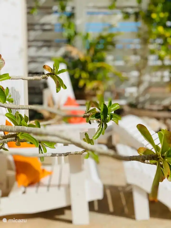 Relajarse junto a la piscina