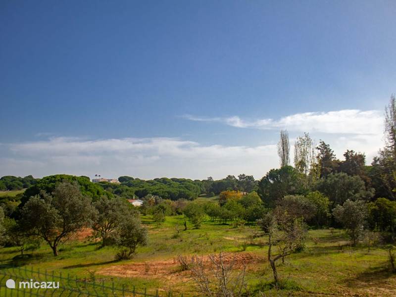 Maison de Vacances Portugal, Algarve, Branqueira Villa Villa : Piscine, BBQ, vue sur la nature