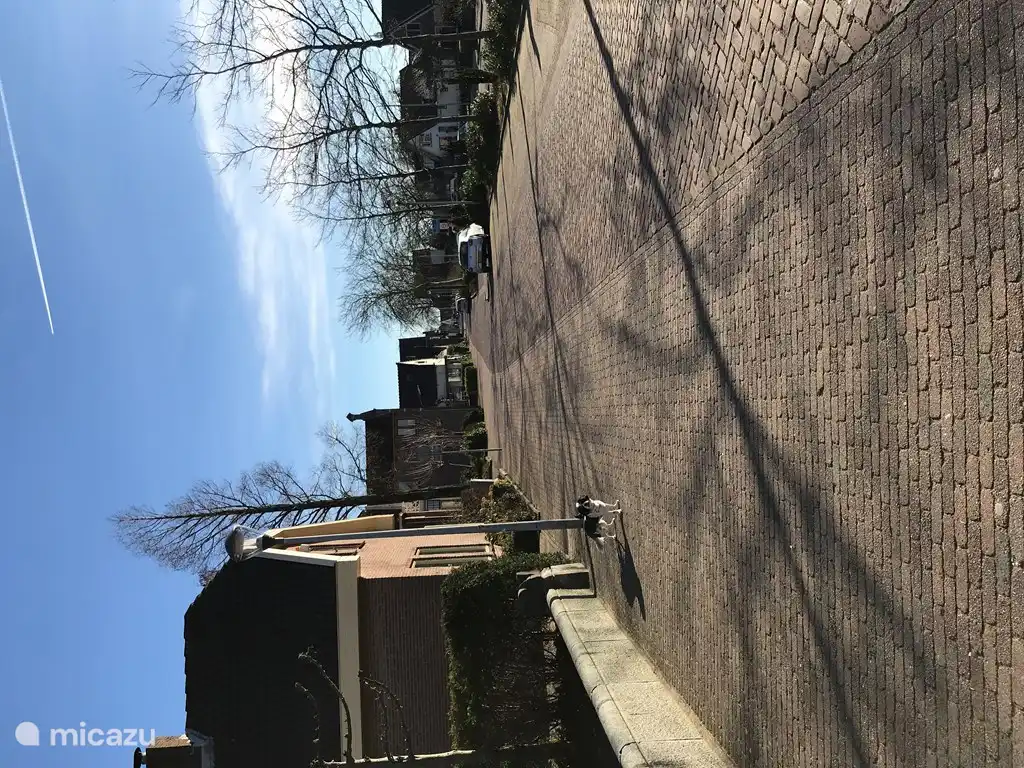 zicht in de straat met ons hondje in beeld