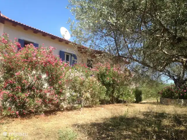 Grèce divine - App. Haut de page | Grèce, Péloponnèse, Archaia Epidavros - maison de vacances Les lauriers roses fleurissent abondamment