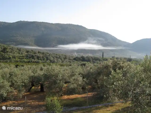 Grèce divine - App. Haut de page | Grèce, Péloponnèse, Archaia Epidavros - maison de vacances Vue sur la vallée avec des olives et des oranges à perte de vue.