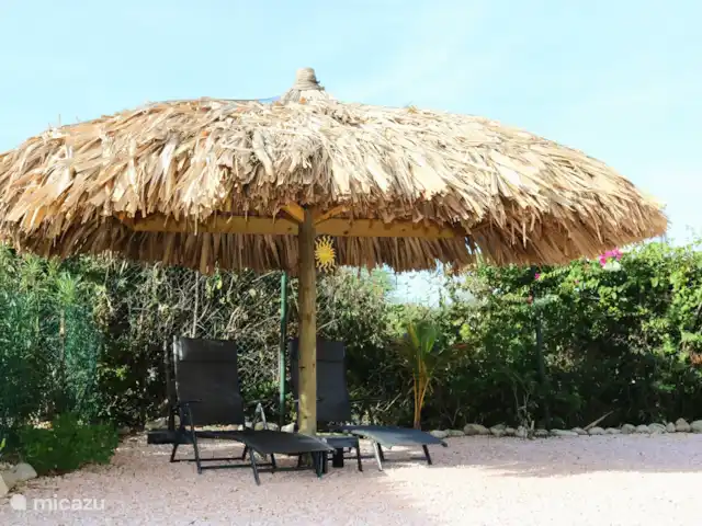 Maison de Chibi | Curaçao, Banda Abou (ouest), Fontein - maison de vacances Parapluie dans la cour