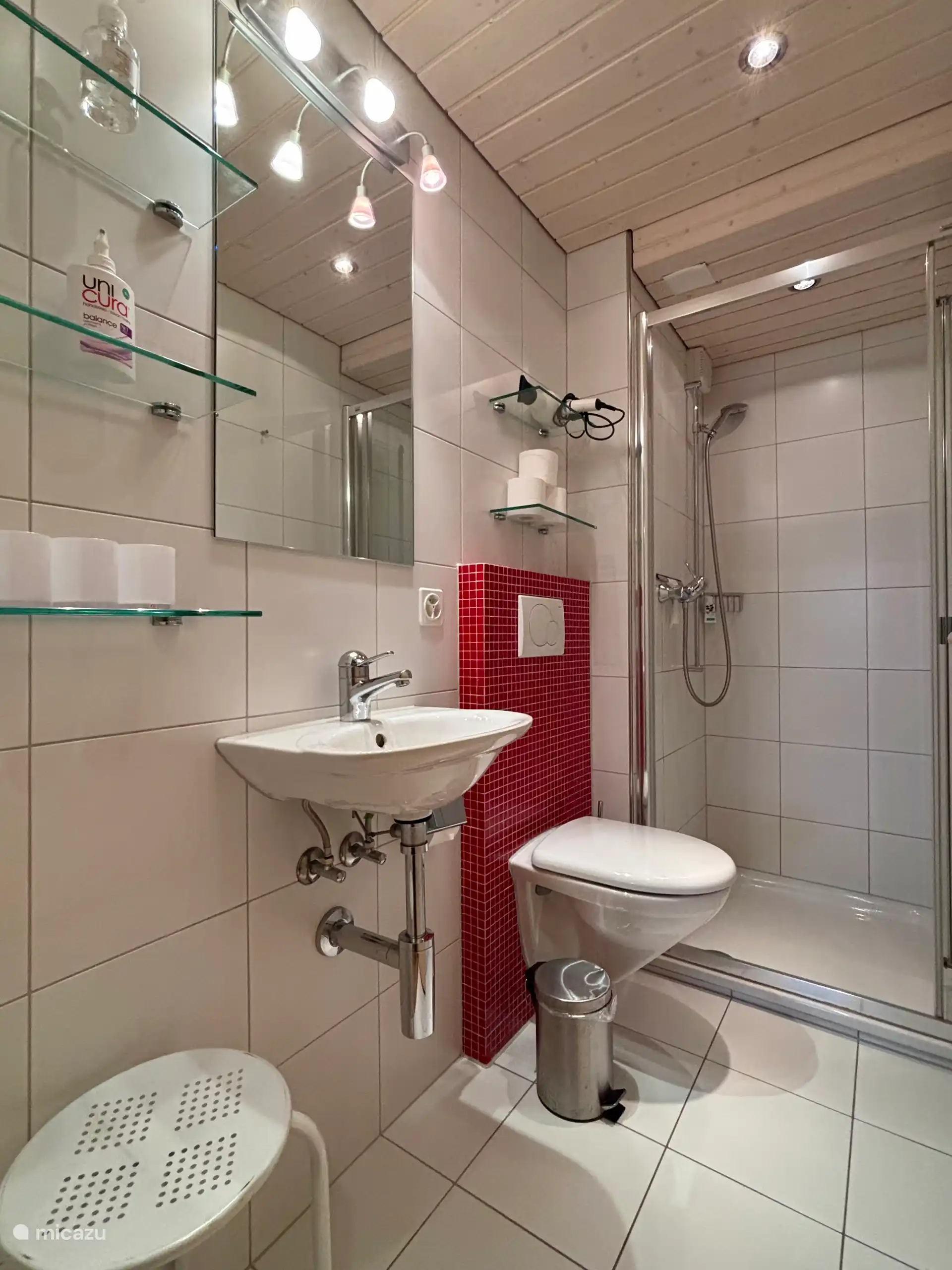 Salle de bain 1 avec toilettes, lavabo et douche