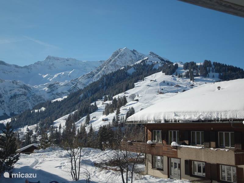 Holiday home in Switzerland, Bernese Oberland, Adelboden Apartment Chalet Lavendel