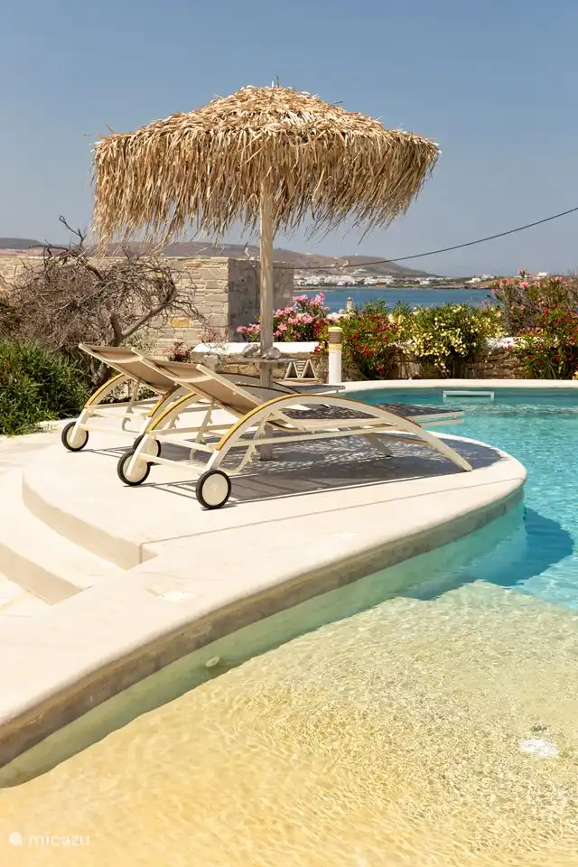 Aegean sea shell in Paros, Cycladen huren? | Micazu