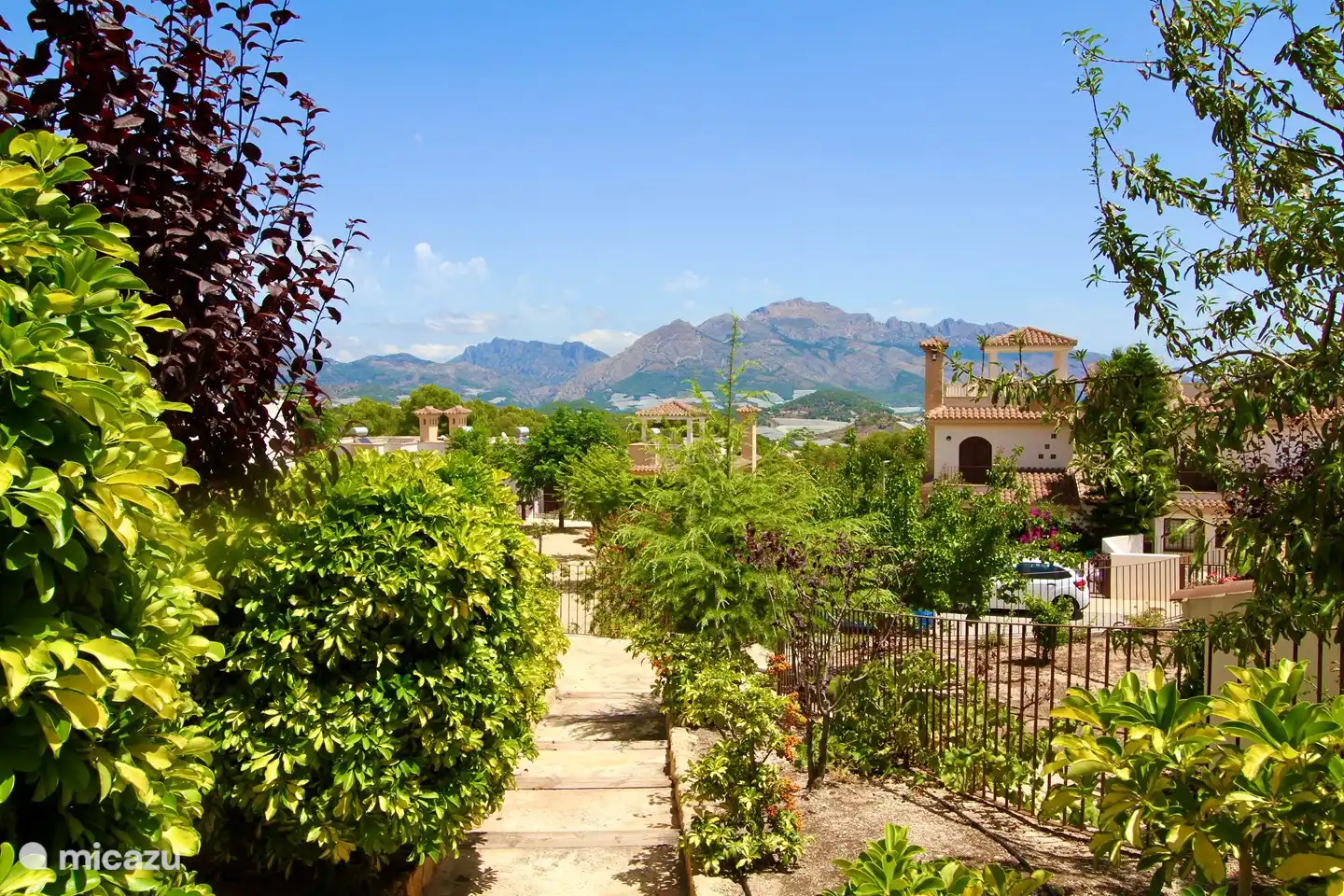 Green maintained gardens