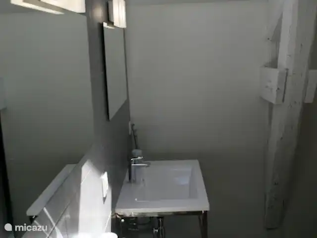 Castillo Portos en el sur de Francia en Francia, Tarn, Cahuzac - casa vacacional Baño 5