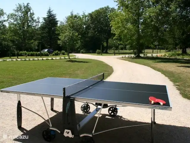 Castillo Portos en el sur de Francia en Francia, Tarn, Cahuzac - casa vacacional ping pong