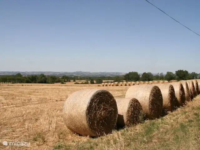 Castillo Portos en el sur de Francia en Francia, Tarn, Cahuzac - casa vacacional Los campos alrededor del dominio