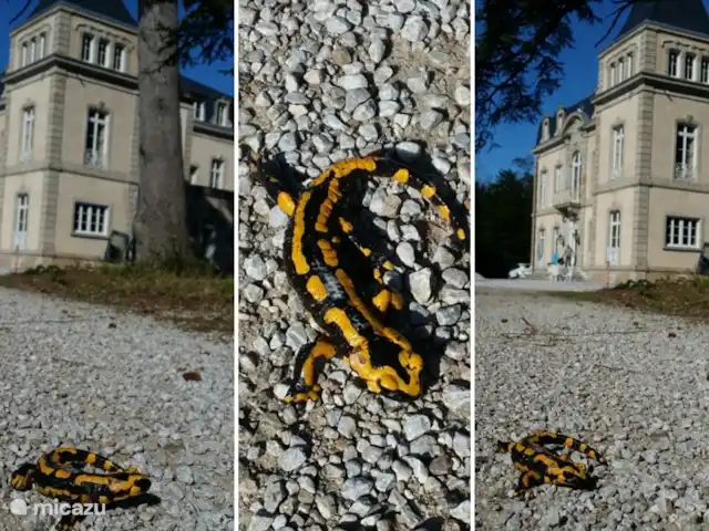 Castillo Portos en el sur de Francia en Francia, Tarn, Cahuzac - casa vacacional Una salamandra de fuego en el jardín.