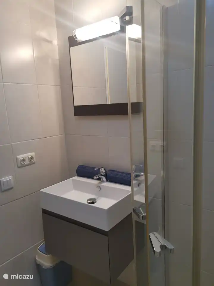 bathroom with rain shower and toilet in second bedroom