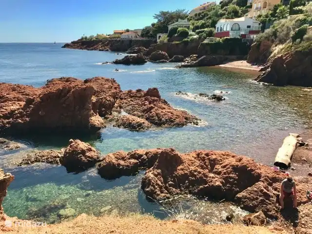 Snorkelparadijs voor de deur