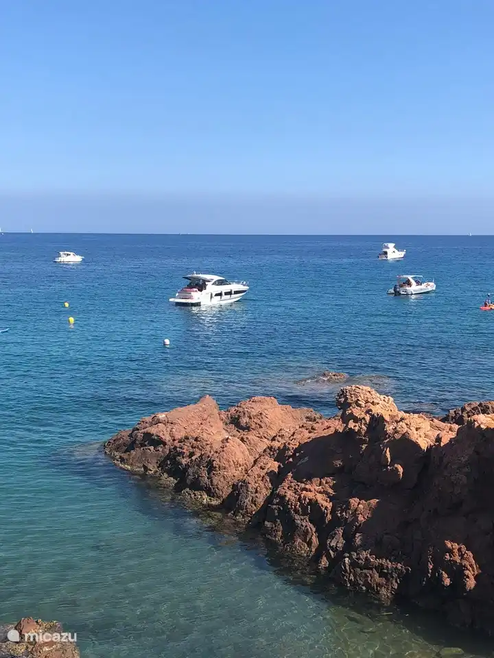 dagelijkse gasten van de baai