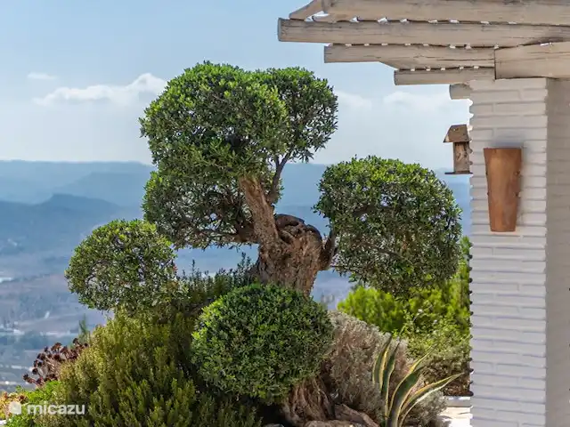 Casa Wils | Espagne, Andalousie, Canillas de Aceituno - villa