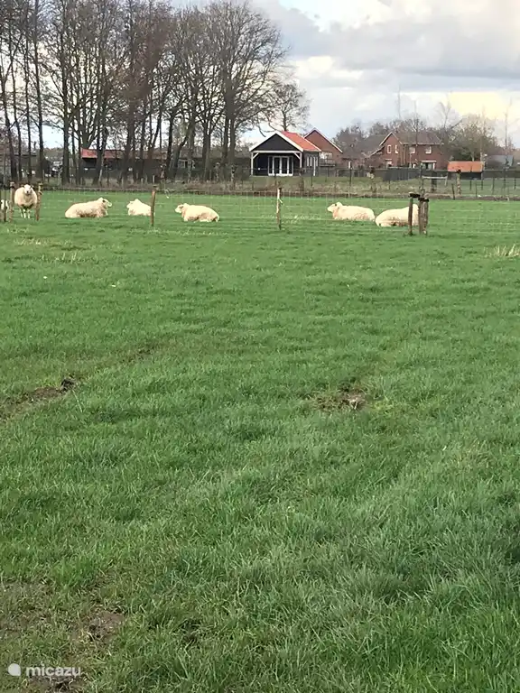 view holiday home from pasture