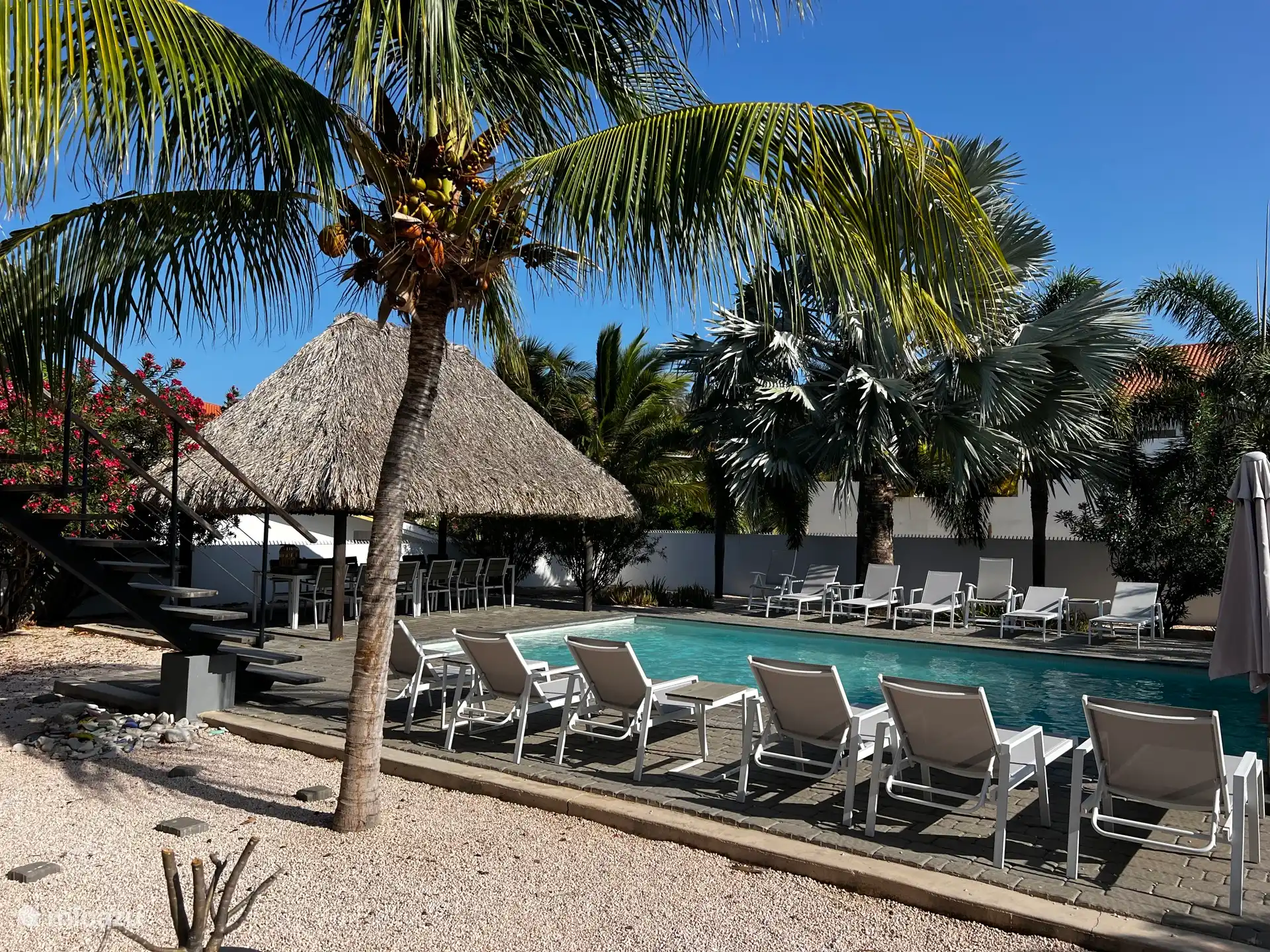 Zwembad met palapa inclusief BBQ