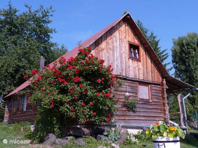 Holiday home in Czech Republic, West Bohemia – cabin / lodge Log cabin Jeren