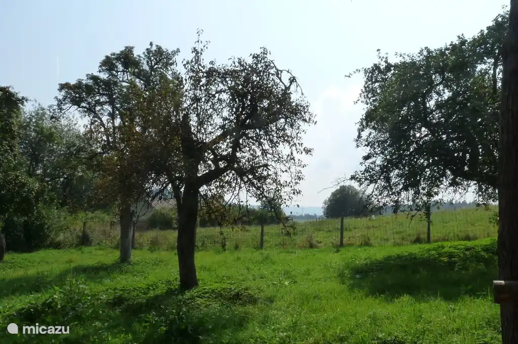 vista desde la cabaña de troncos