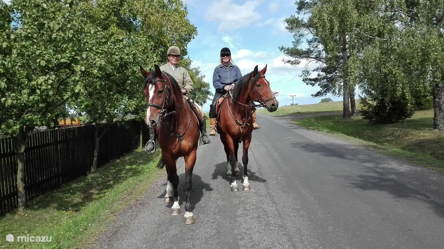 paseos a caballo por la zona